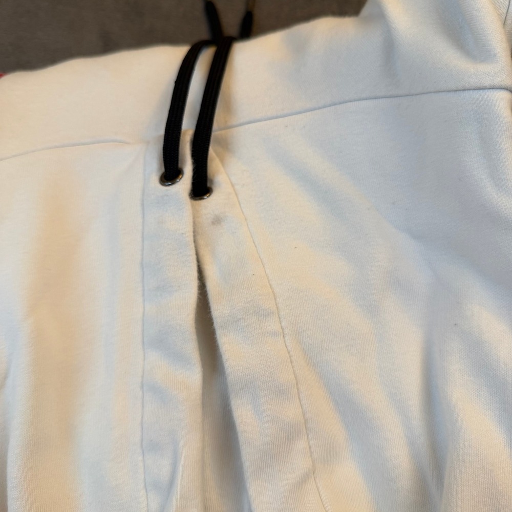 Polo by Ralph Lauren Multicolor Hoodie - Picture 9 of 14